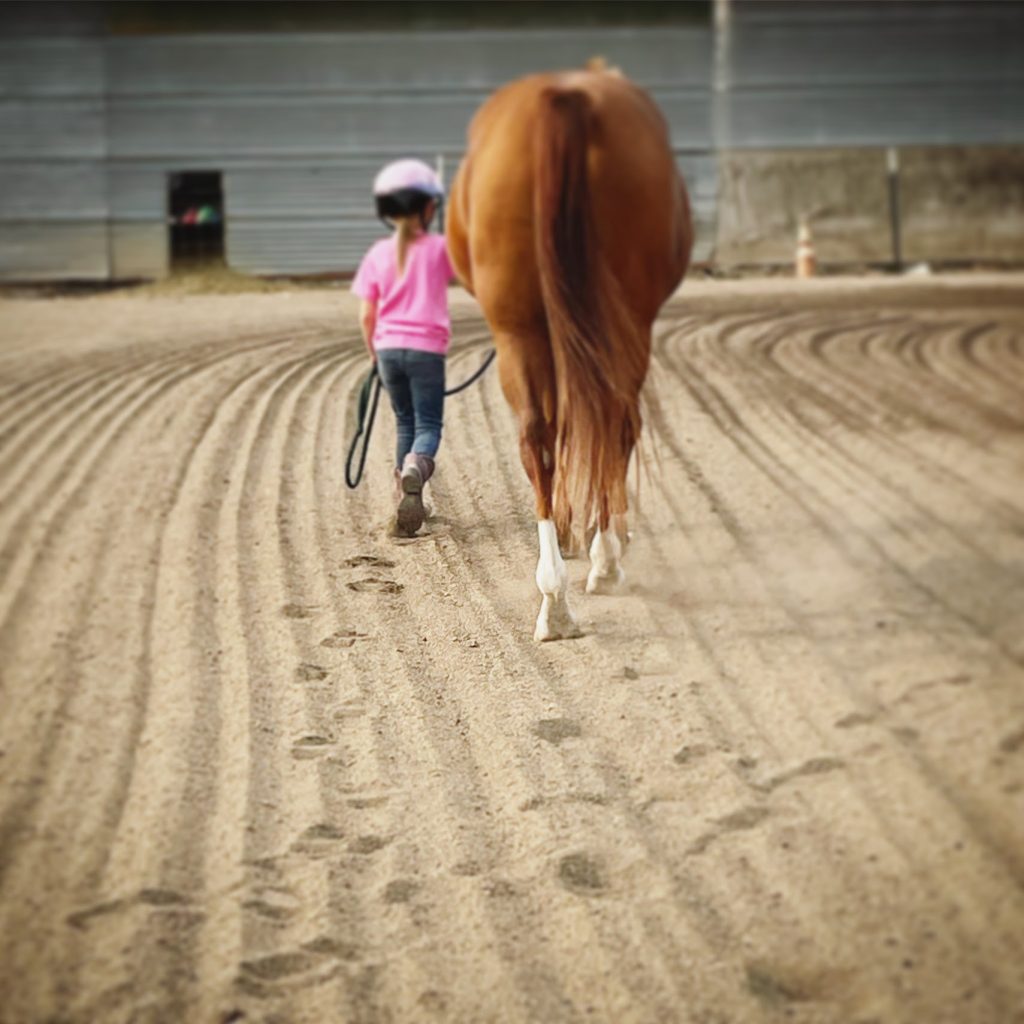 Ankeny Hill Farm photo 19