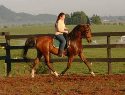 Ankeny Hill Farm photo 26