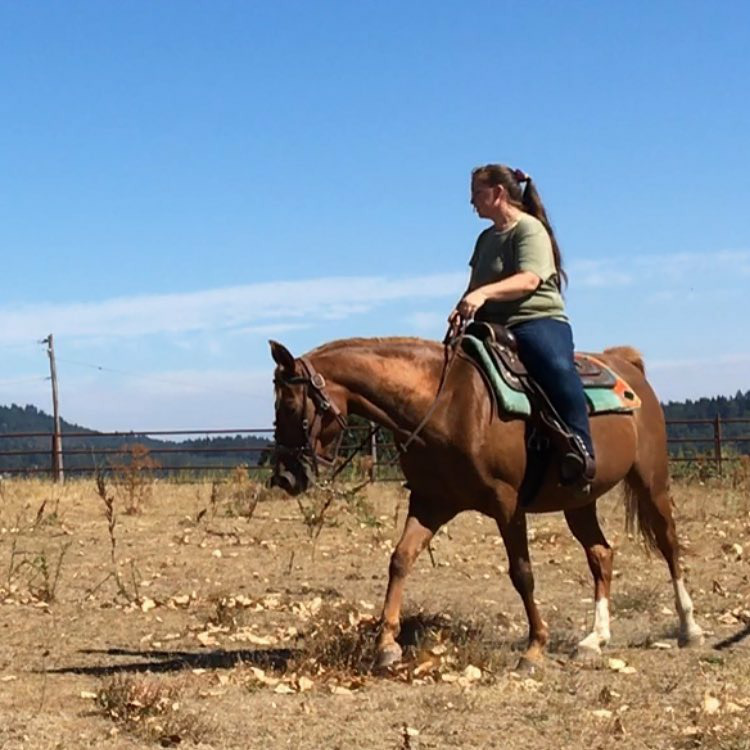 Ankeny Hill Farm photo 30